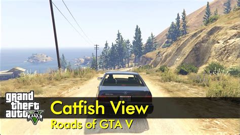 catfish view gta 5